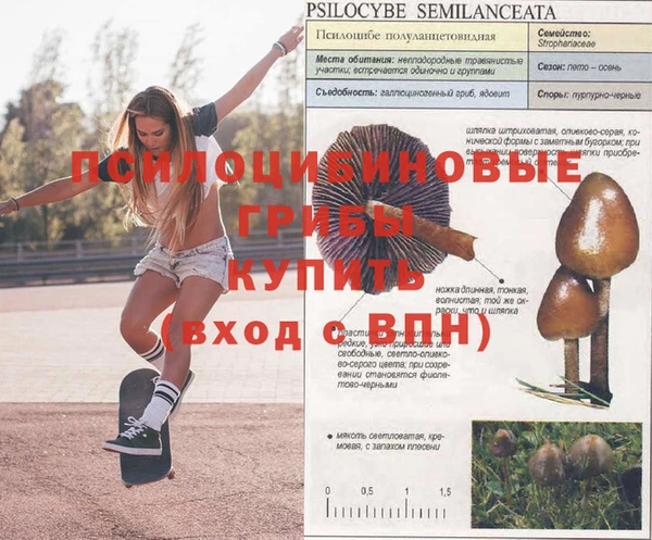каннабис Бугульма