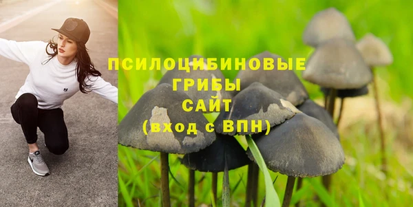 экстази Богданович
