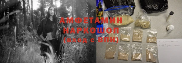 гашик Бородино